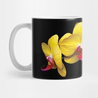 Orchids - Bright Yellow Phalaenopsis Orchids Mug